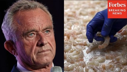 Health Secretary RFK Jr. Announces Tougher FDA Inspections For Shrimp After Recalls