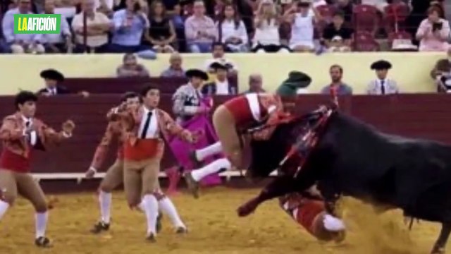 Murió Manuel María Trindade, joven torero de 22 años, durante una corrida de toros en Portugal