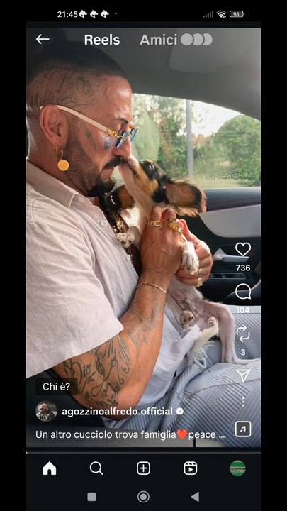 agozzino Alfredo cane ceduto dopo 20 giorni se non amate gli animali non fateveli