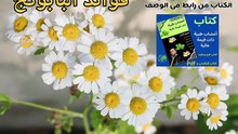 فوائد البابونج