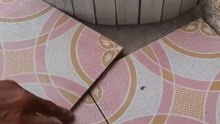 cutting circular ceramics