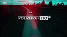 Polizeiruf 110 -383- Söhne Rostocks