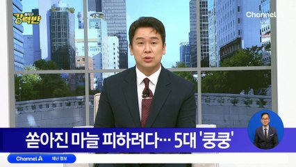 쏟아진 마늘 피하려다…5대 추돌
