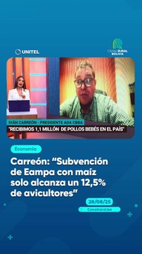 Carreón: Subvención de Eampa con maíz solo alcanza un 12,5% de avicultores