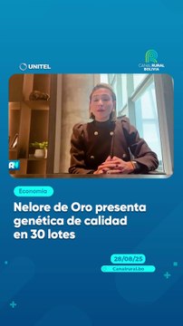 Nelore de Oro presenta genética de calidad en 30 lotes