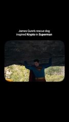 Superman (2025), Directed by james Gunn