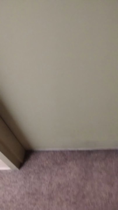 My Wednesday August 27th 2025 Evening Video Documenting My Sane Attempt To Regain Access To The Keys Of My Car Which I Lawfully Purchased