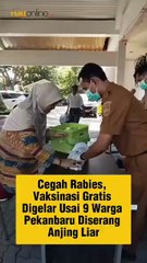 Cegah Rabies, Vaksinasi Gratis Digelar Usai 9 Warga Pekanbaru Diserang Anjing Liar