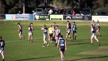 Brayden Frost report v Castlemaine, round 16, 2025.
