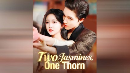 Two Jasmines, One Thorn Chinese Drama