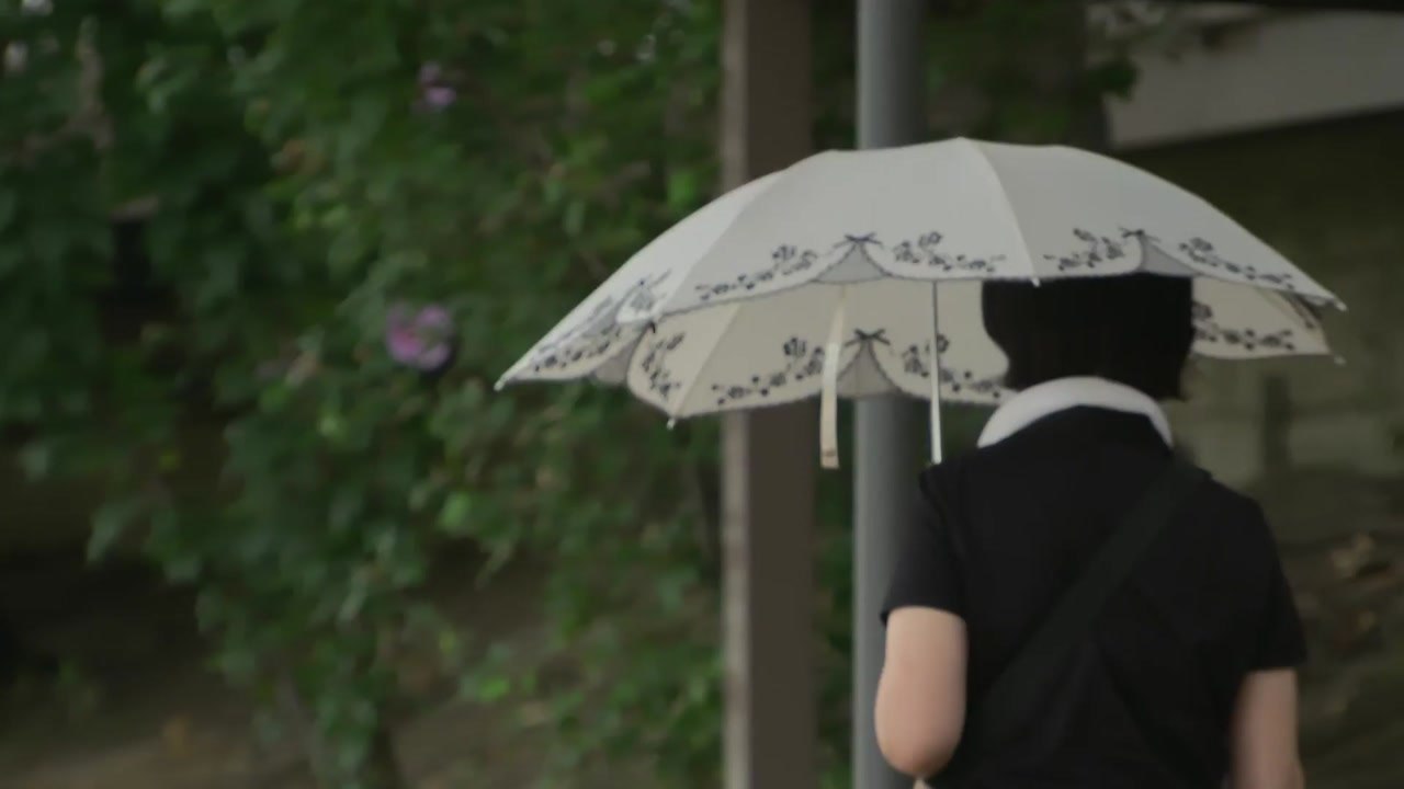 [날씨] 한낮 33℃ 안팎 폭염 기승...저녁까지 서쪽 소나기 / YTN