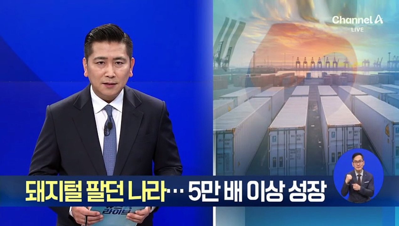 돼지털 팔던 나라…5만 배 이상 성장