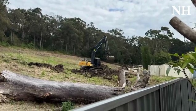 Lake council investigates alleged unauthorised work at Mount Hutton | Newcastle Herald