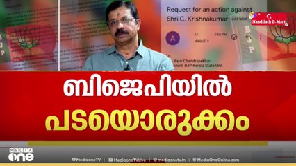 'കൃഷ്ണകുമാറിനെ സംരക്ഷിക്കരുത്, അത് തെരഞ്ഞെടുപ്പുകളിൽ പാർട്ടിക്ക് ക്ഷീണം വരുത്തും'