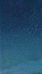 بے شک نماز بے حیاٸی اور برے کاموں سے روکتی ہے۔#Islam #nimaz #foryou