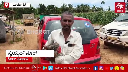ದಾವಣಗೆರೆ: ನೀಲಿ ಬಣ್ಣದ ಮೊಟ್ಟೆ ಇಟ್ಟು ಅಚ್ಚರಿ ಮೂಡಿಸಿದ ನಾಟಿ ಕೋಳಿ: ಹೀಗೂ ಆಗುತ್ತಾ?.. ಇದಕ್ಕೆ ಕಾರಣವಾದರೂ ಏನು?