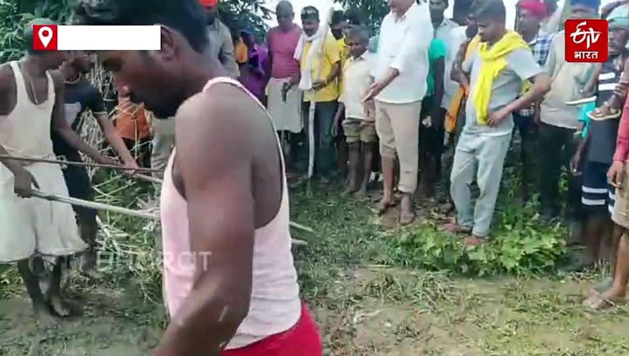 यूपी में बाढ़-बारिश; उफनाई नदियों से बाहर निकल रहे मगरमच्छ, बहराइच में 14 साल के किशोर को पानी में खींच ले गया, मिर्जापुर में बस्ती में घुसा