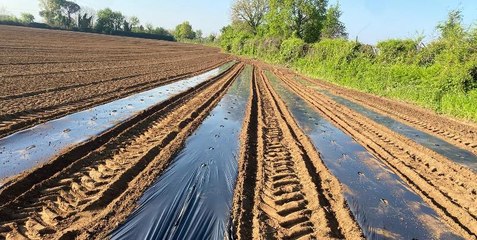Frode su fondi agricoltura: confiscati oltre 4,7 milioni a quattro imprenditori (28.08.25)