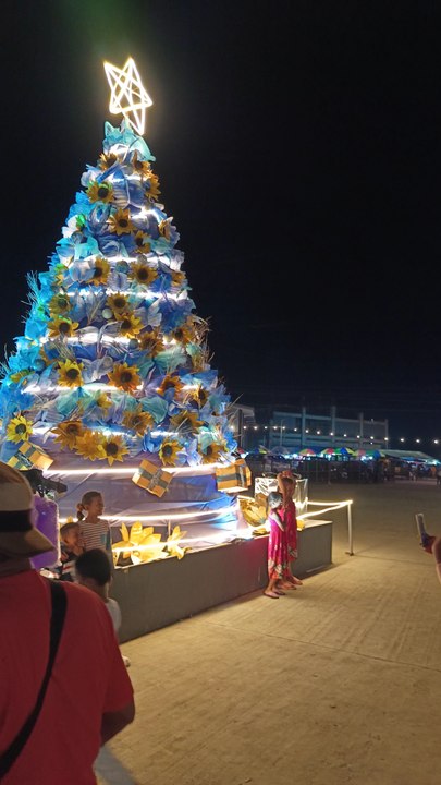 Christmas Trees