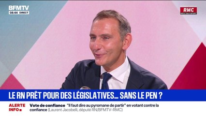 Inéligibilité de Marine Le Pen: "Elle n'abandonnera jamais", assure Laurent Jacobelli, député RN