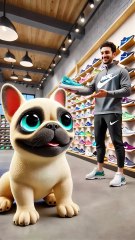 Frenchie s Super Assist! Buys Shoes, Helps Owner Win! 🐶🏆 #CutePet #Running #shorts #cute #dog