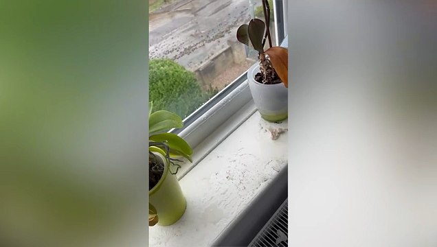 Yorkshire landlord fuming after burst water pipe causes £10,000 of damage to house