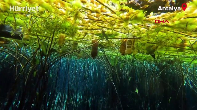 Antalya'nın içme suyu kaynağında çöp alarmı