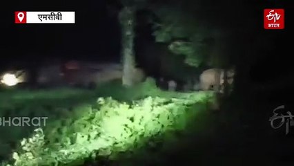 गांव में घुसा हाथी, भागकर लोग पहुंचे स्कूल, जनकपुर में अफरा तफरी का माहौल