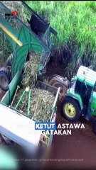 Danantara Gelontorkan Rp1,5 Triliun untuk Penyerapan Gula, Bapanas Beri Peringatkan