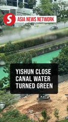 The Straits Times | Yishun Close canal water turned green