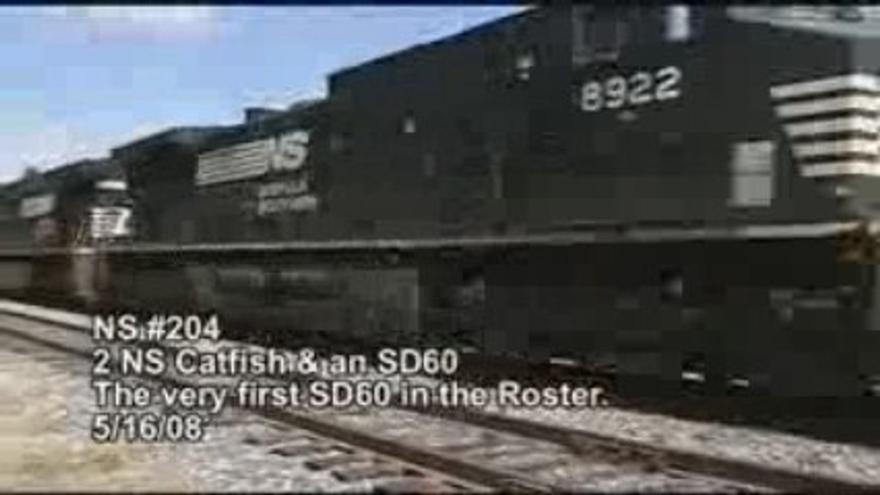 NS #204 W/ Rare Sight on 3rd
