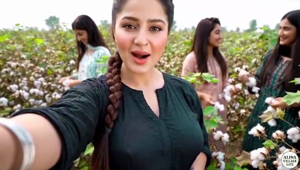 Kapas Ki Chunai in My Vilalge _ Alina Village Life