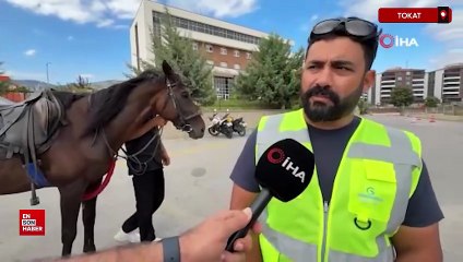Tokat’ta heyecanını yenmek için atla parkura girdi