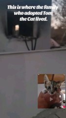 Their house burned down. #tom This is where the family who adopted Tom the Cat lived