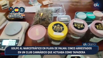 Golpe al narcotráfico en Playa de Palma: cinco arrestados en un club cannábico que actuaba como tapadera