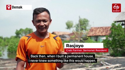 Can A Giant Seawall Save Indonesia's Disappearing Coast?