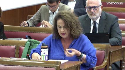 Carla Antonelli arremete contra el PP en el Senado