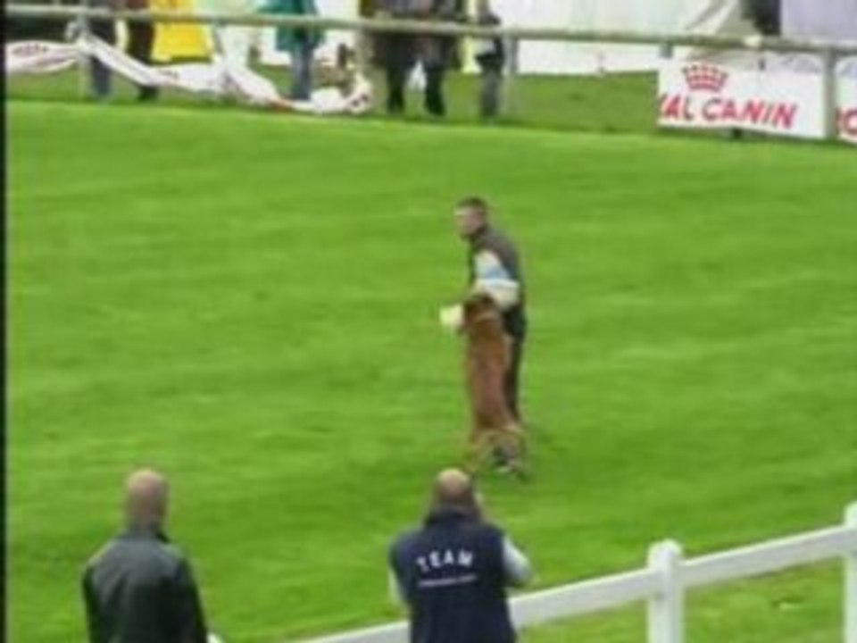 FMBB-2007-Beck/ Q'Bike