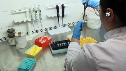 Kene risk haritası oluşturuluyor