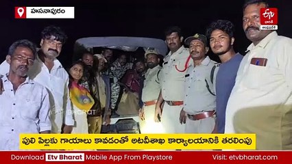 రోడ్డుపై గాయాలతో చిరుతపులి పిల్ల - రక్షించిన గ్రామస్థులు