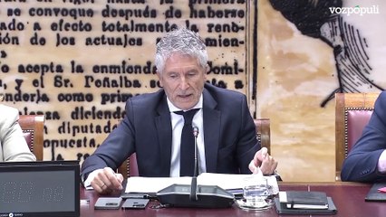 Marlaska pide al PP y demás grupos políticos que se sumen al pacto de Estado para incendios