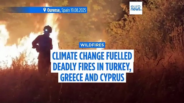 Climate change intensified weather that fuelled deadly wildfires in Türkiye, Greece and Cyprus