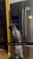 Do you think he can grab a seltzer for me while he’s up? (Credit: Robin