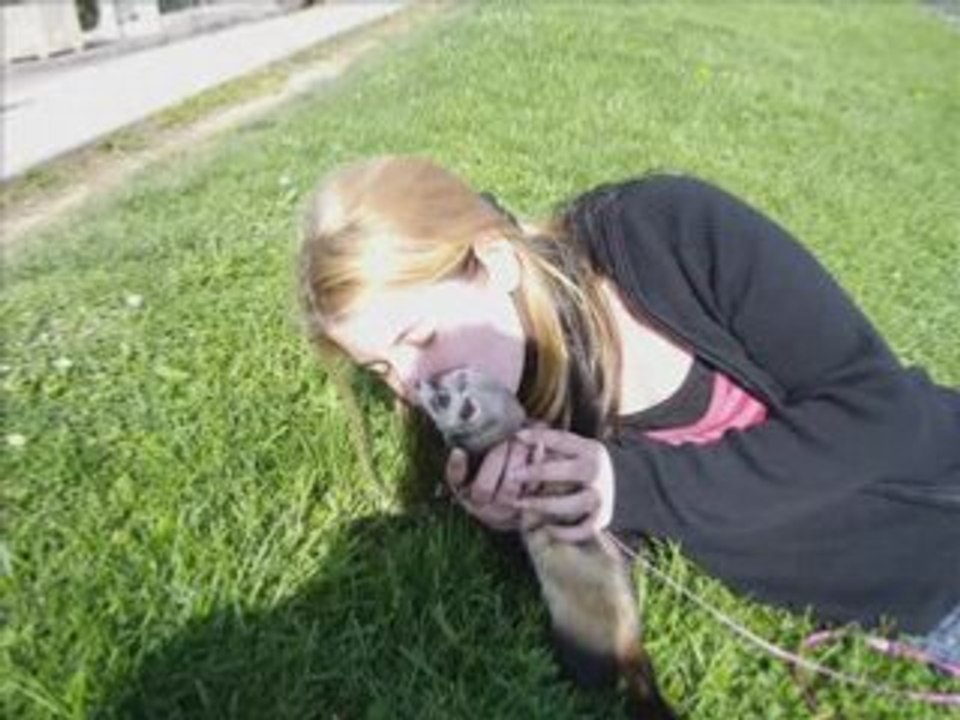 Chipolata diapo_0002