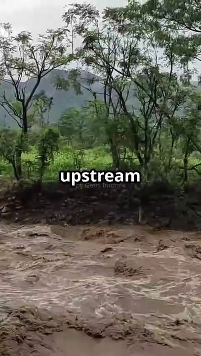 India Alerts Pakistan on Flood Risk | First Official Warning in Months