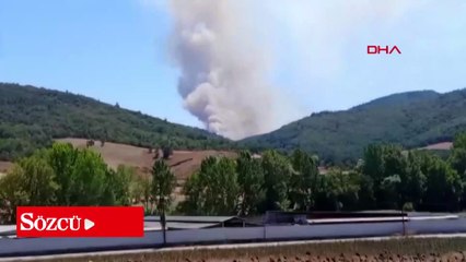 Bursa’da orman yangını