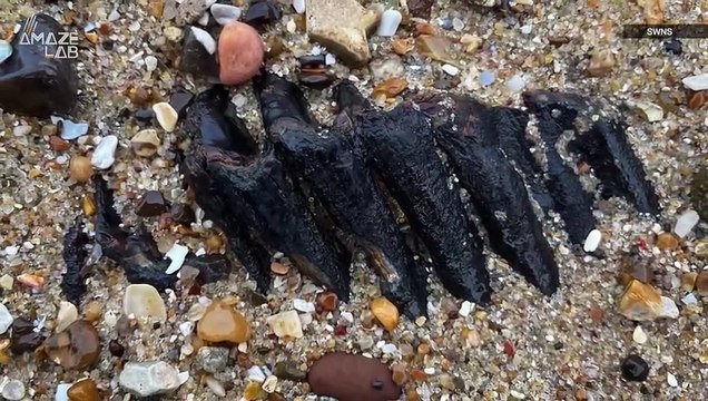 You’re Not Going to Believe What This Woman Found Sticking Out of the Beach in England