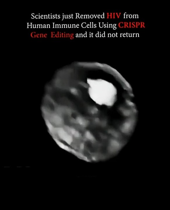 Video showing CRISPR targeting and destroying HIV in a cell