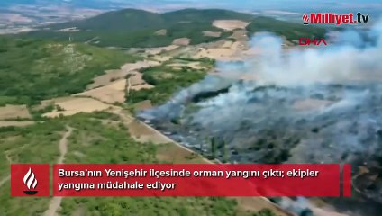 Bursa’da orman yangını! Karadan ve havadan müdahale ediliyor