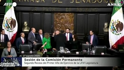 Messico, rissa in Senato: schiaffi e spintoni durante una sessione plenaria